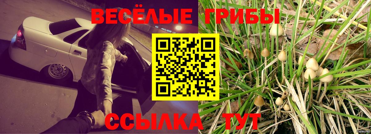 Галлюциногенные грибы GOLDEN TEACHER Нарткала