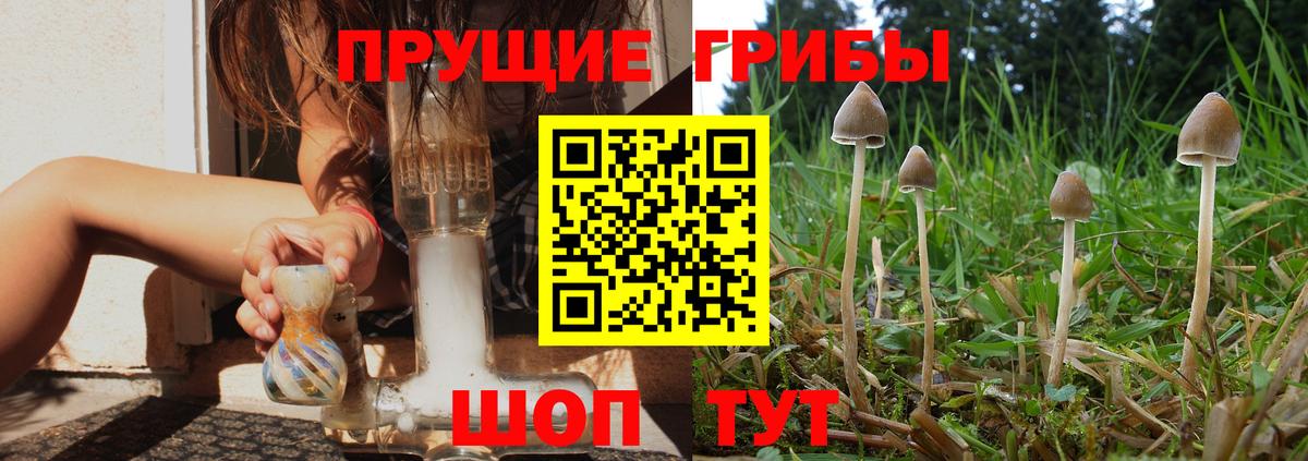 закладка  Галлюциногенные грибы Psilocybine cubensis  Вход с VPN  Нарткала 